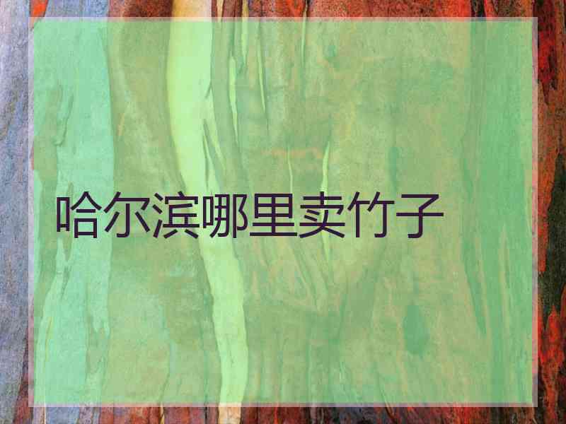 哈尔滨哪里卖竹子