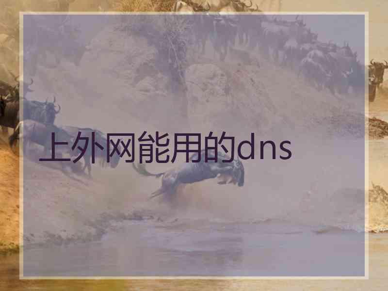 上外网能用的dns