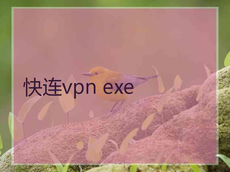 快连vpn exe