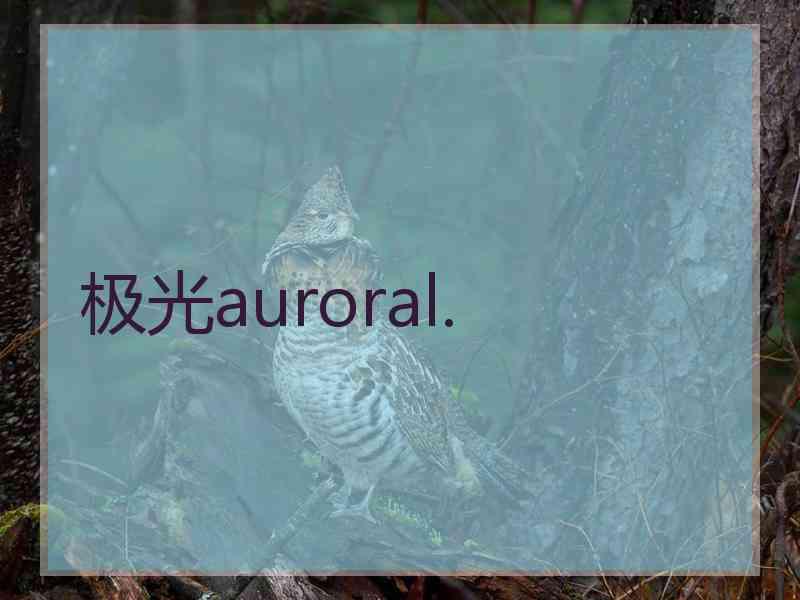 极光auroral.