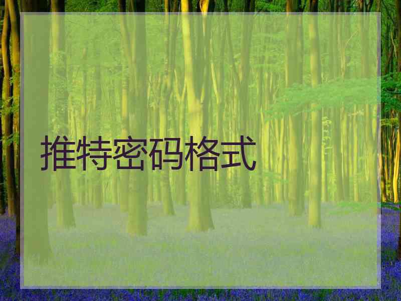 推特密码格式