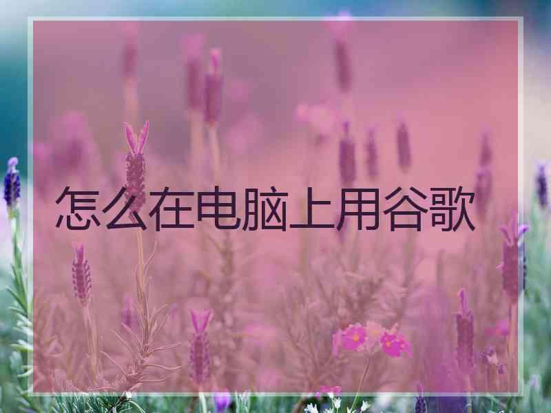 怎么在电脑上用谷歌