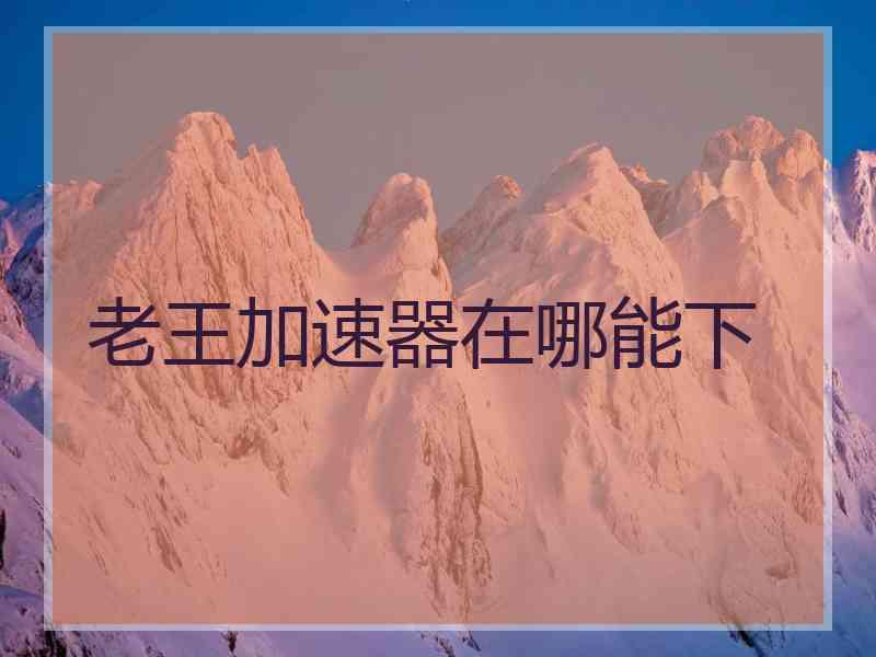 老王加速器在哪能下