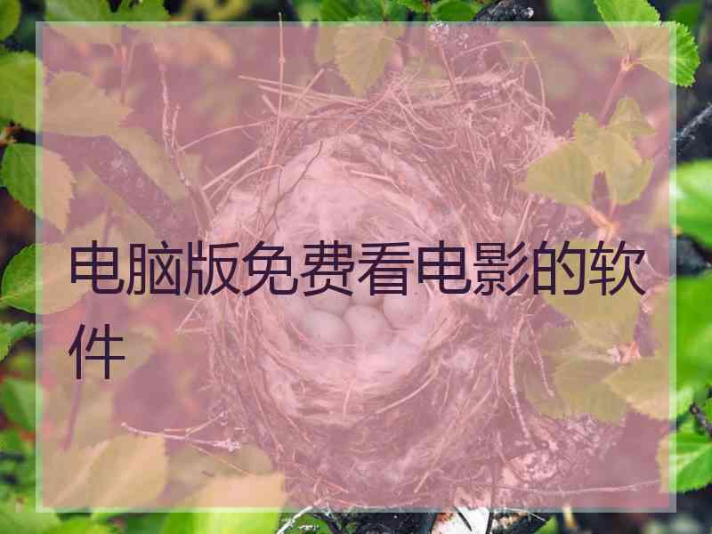 电脑版免费看电影的软件