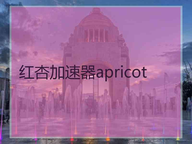 红杏加速器apricot