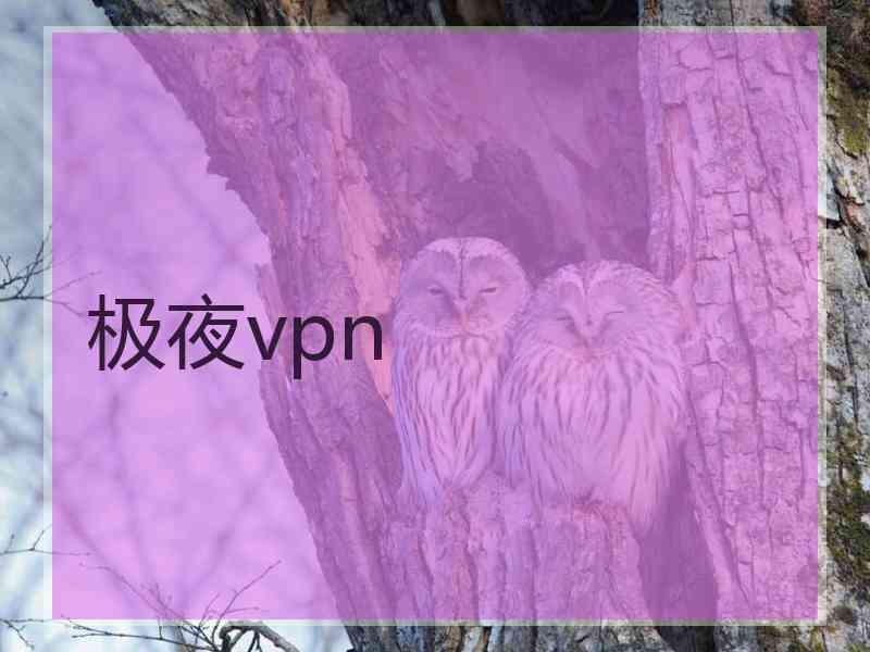 极夜vpn