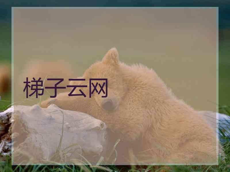 梯子云网