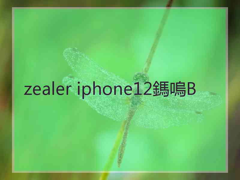 zealer iphone12鎷嗚В