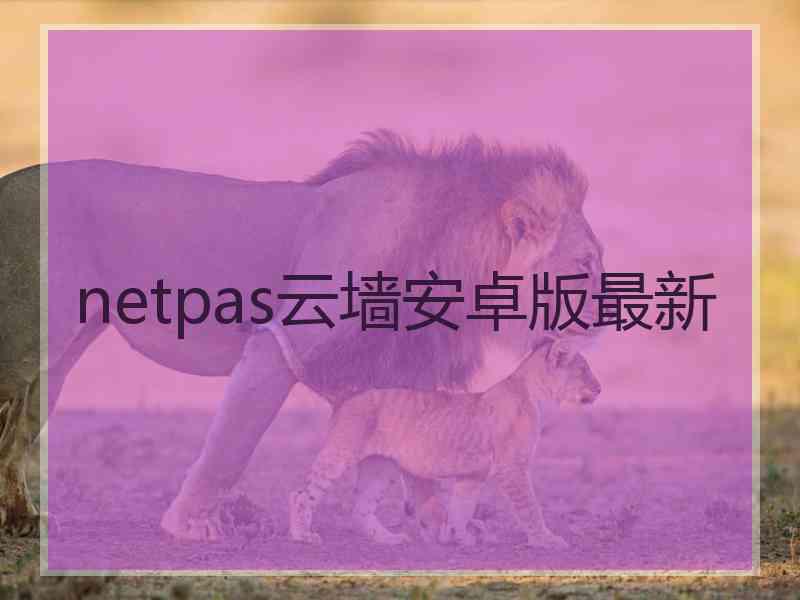 netpas云墙安卓版最新