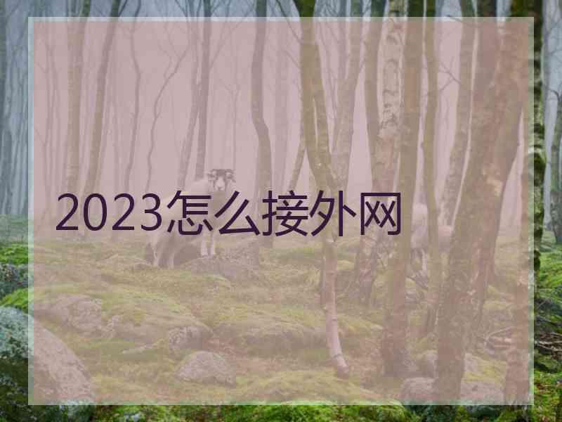 2023怎么接外网