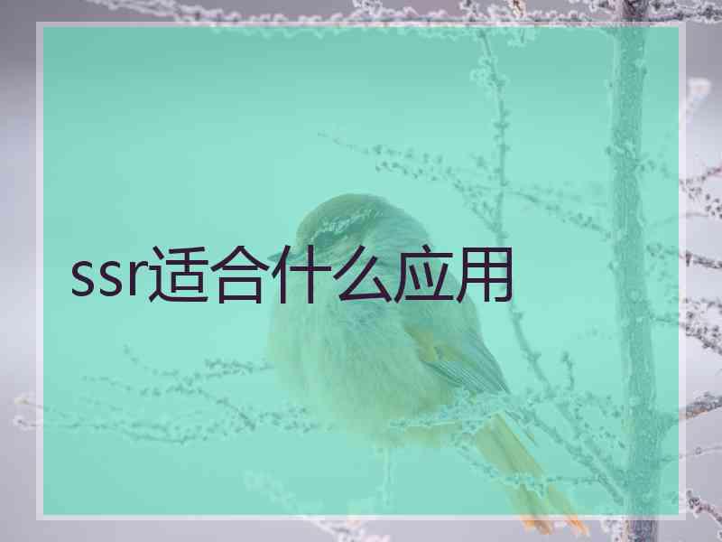 ssr适合什么应用