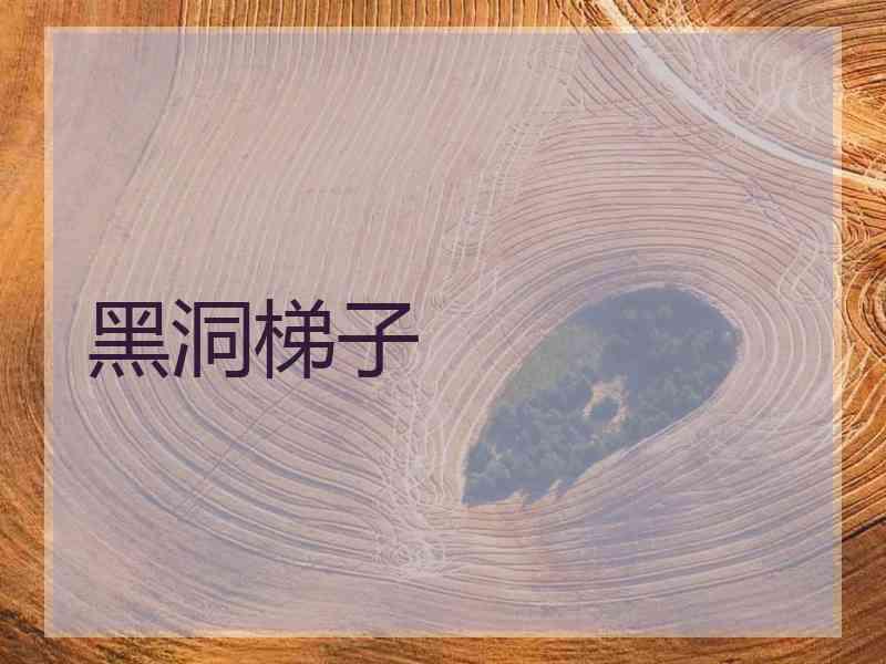 黑洞梯子