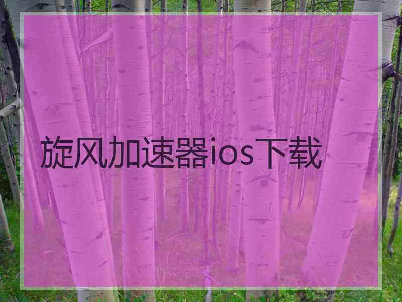 旋风加速器ios下载