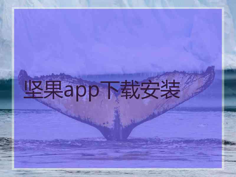 坚果app下载安装