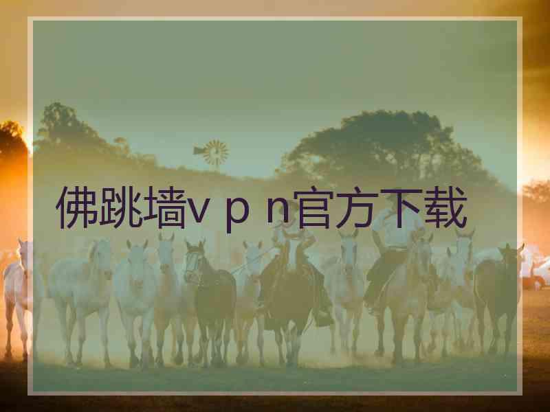 佛跳墙v p n官方下载
