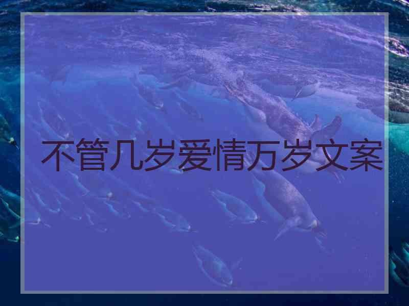 不管几岁爱情万岁文案