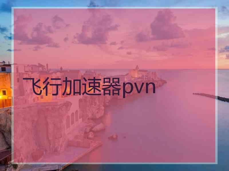 飞行加速器pvn