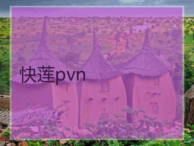 快莲pvn