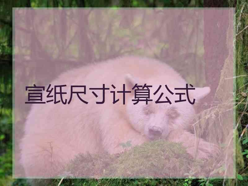 宣纸尺寸计算公式