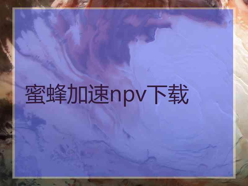 蜜蜂加速npv下载