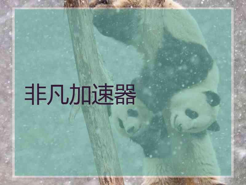 非凡加速器