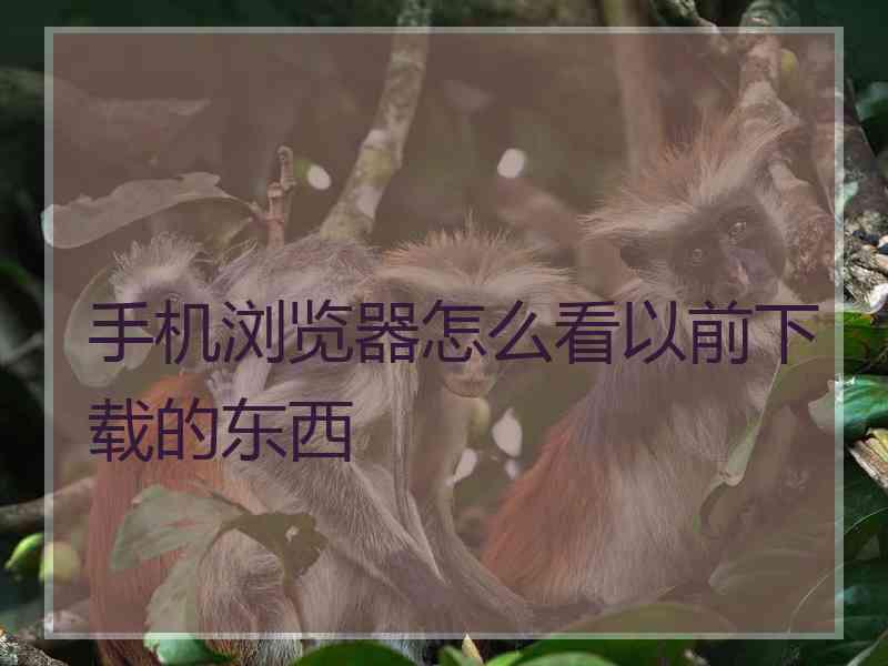 手机浏览器怎么看以前下载的东西