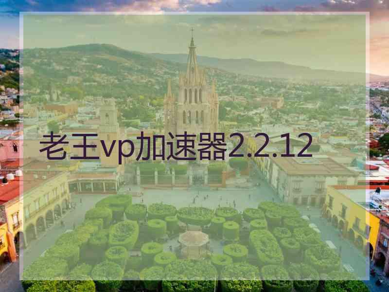 老王vp加速器2.2.12