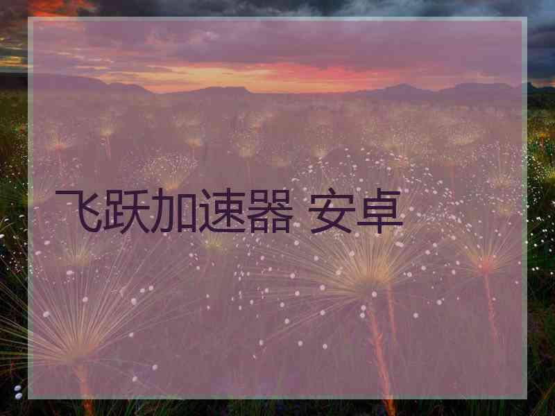 飞跃加速器 安卓