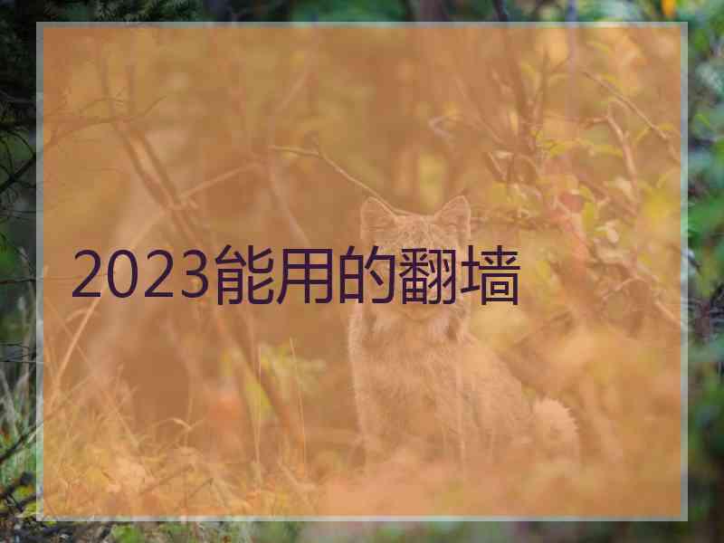 2023能用的翻墙