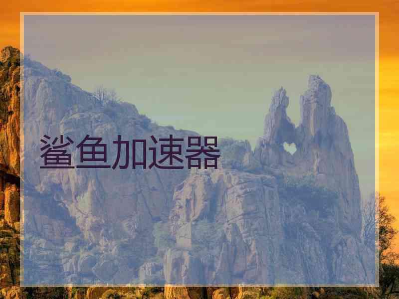 鲨鱼加速器