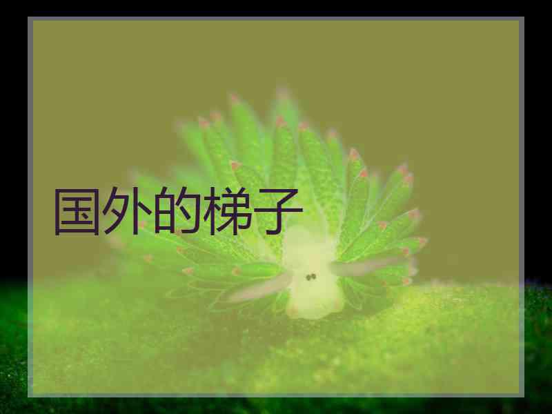 国外的梯子