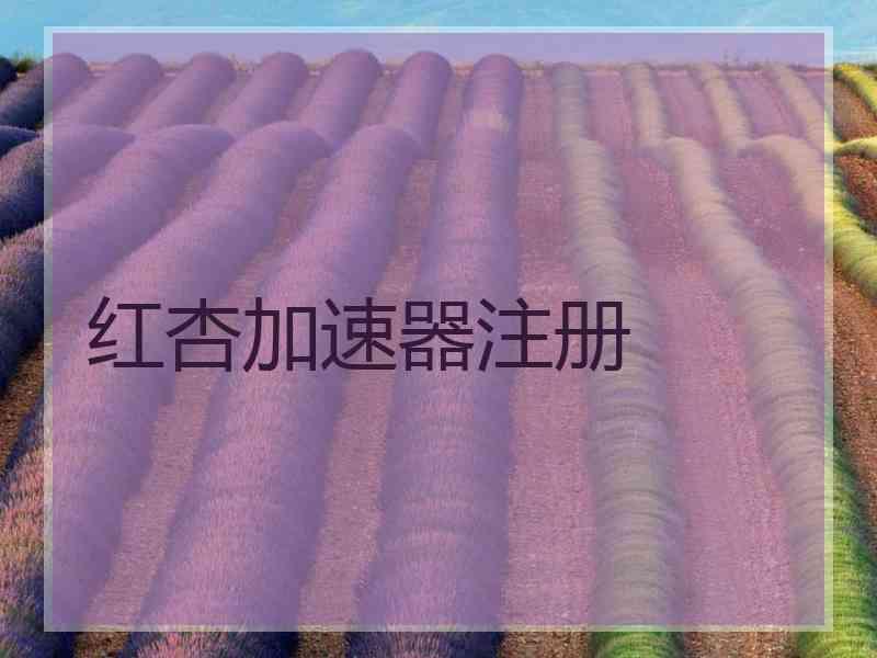 红杏加速器注册
