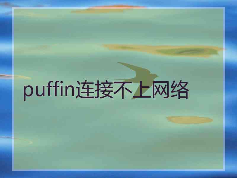 puffin连接不上网络