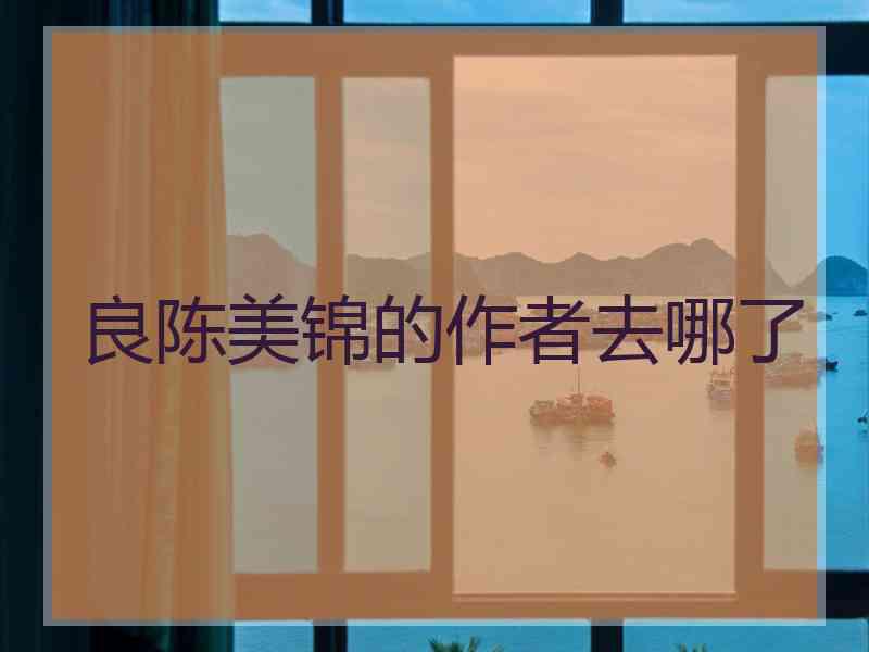 良陈美锦的作者去哪了