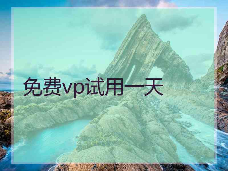 免费vp试用一天