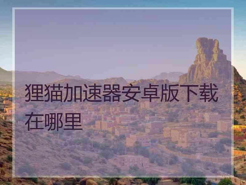 狸猫加速器安卓版下载在哪里