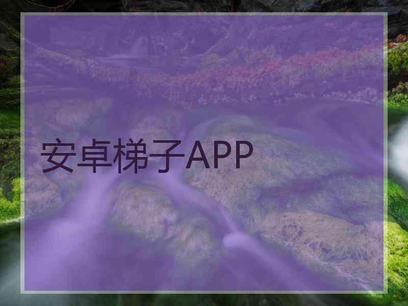 安卓梯子APP