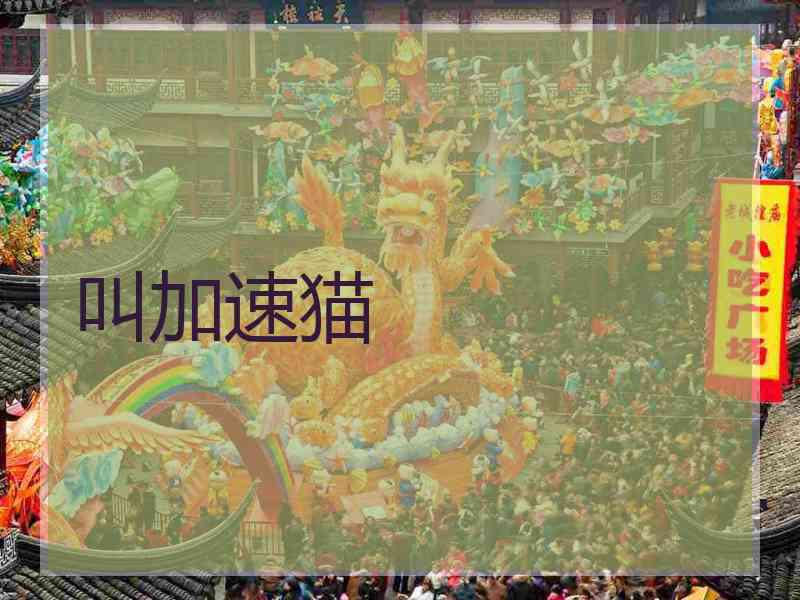 叫加速猫