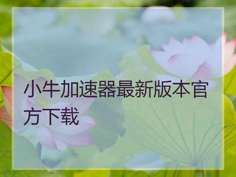 小牛加速器最新版本官方下载