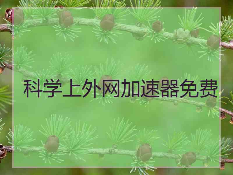 科学上外网加速器免费