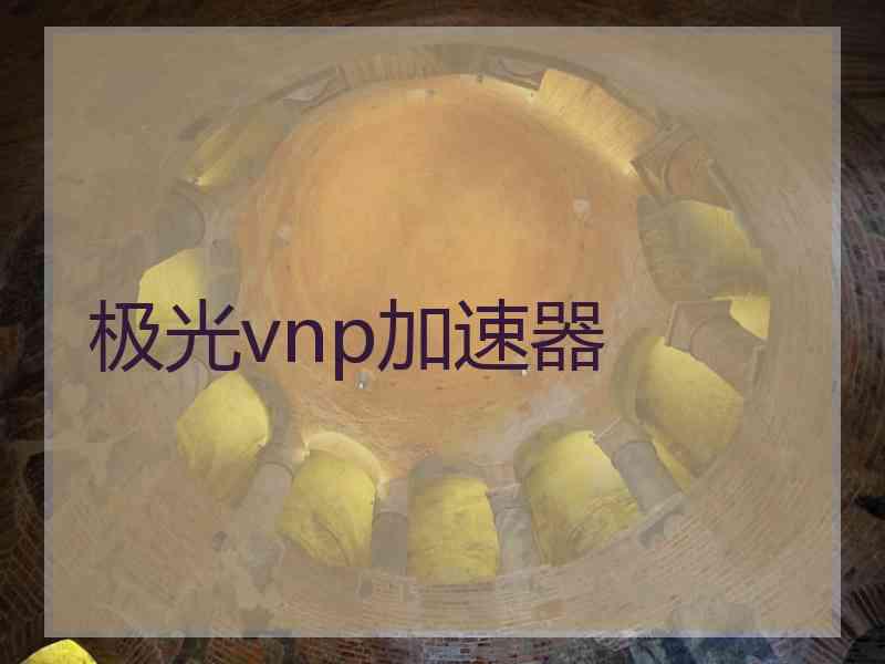 极光vnp加速器