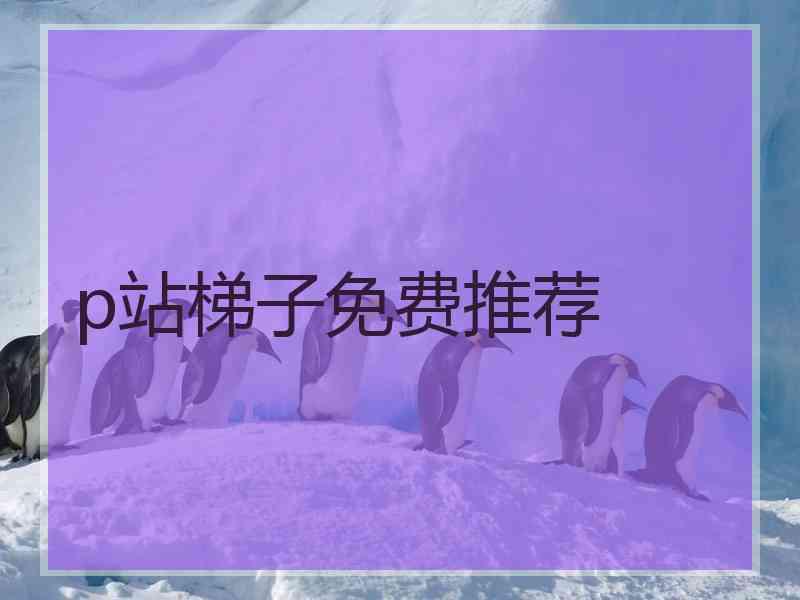 p站梯子免费推荐