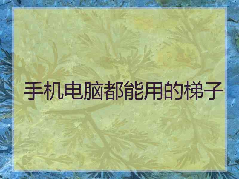 手机电脑都能用的梯子