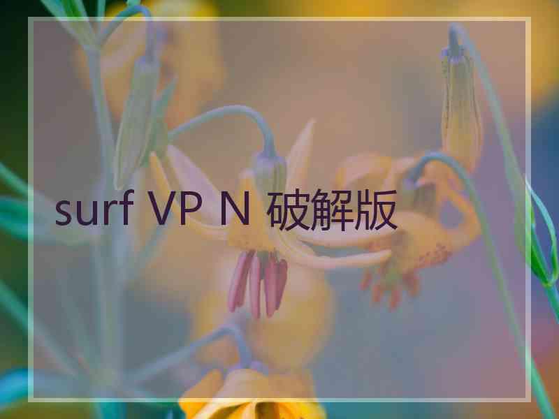 surf VP N 破解版