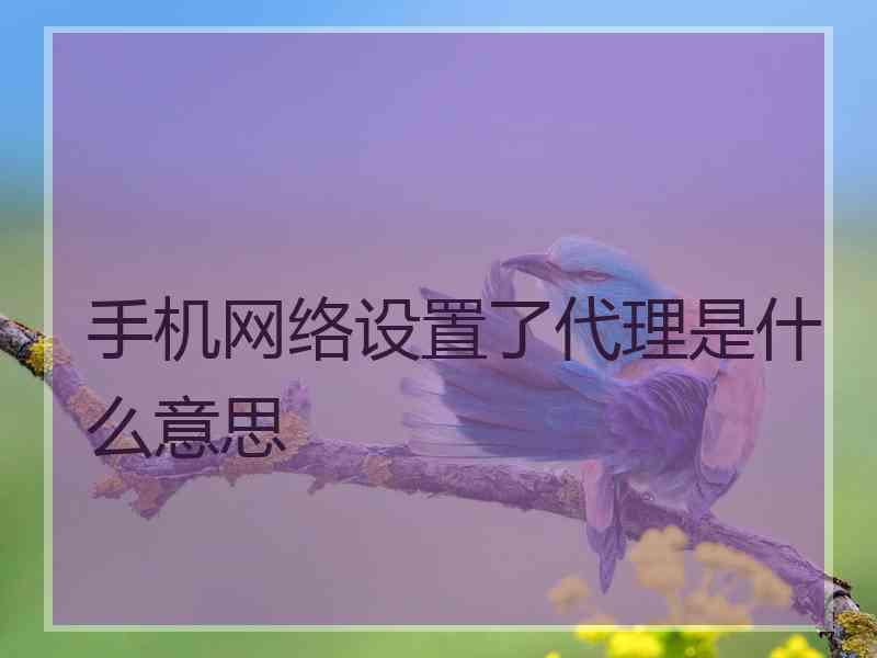 手机网络设置了代理是什么意思