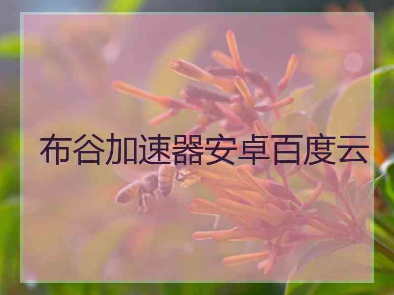 布谷加速器安卓百度云