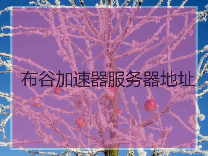 布谷加速器服务器地址