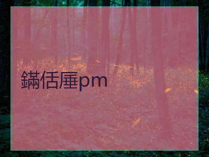 鏋佸厜pm