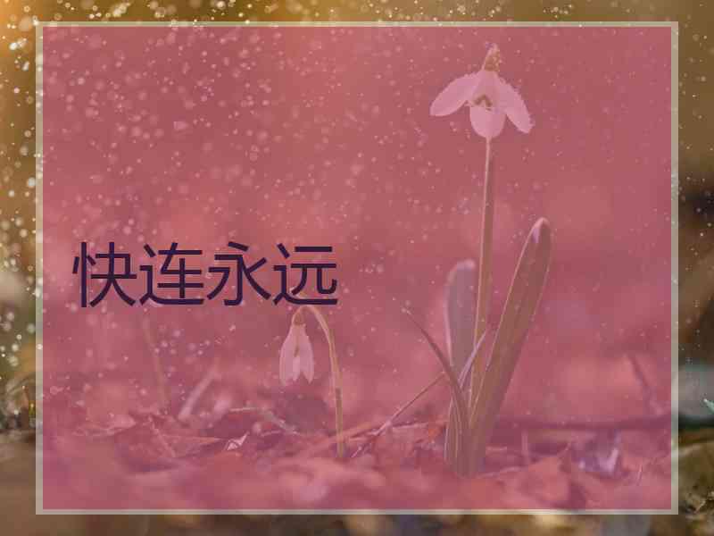 快连永远