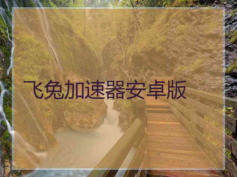 飞兔加速器安卓版